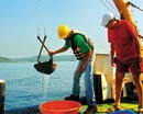 Ege Denizi'ndeki çevre kirliliği araştırılıyor