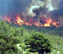 Orman yangınları bu kez İzmir'de