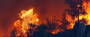  İzmir'deki orman yangını sürüyor