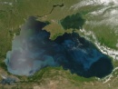 Karadeniz için bilimsel ağ