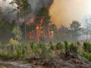 İskenderun'daki orman yangını söndürüldü