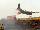 Orman yangınları 90 hektarı kül etti