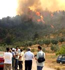 Bursa, Bolu ve Karabük''te orman yangını
