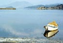 Bafa Gölü pamuk mağduru