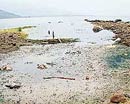 "Suyu içilebilir" göllerden Sapanca'daki kirlilik, 6 balık türünün sonunu getirdi