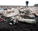 Karadeniz'e karışan atıklar sahili kirletti