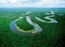 Amazonlar’da tahribat üç katına çıktı 