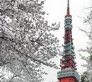 Japonların Eyfel'i Tokyo Kulesi 50'sinde