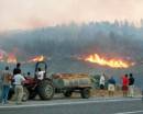 İzmir''deki yangın rüzgârın etkisiyle büyüdü, tatil köyleri boşaltıldı 