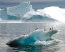 Antarktika''nın erime hızı 4 katına çıktı 