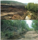Madencilik ve ekoloji politikaları