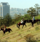 Atatürk Orman Çiftliği arazilerini geri istiyor