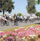 Büyük şehirlerde bisikletli ulaşım devreye sokulacak