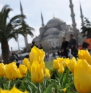 İstanbul''da kültür gezisi yapmak ister misiniz?