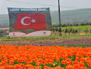 Türkiye''nin en büyük bahçe marketi açılıyor 