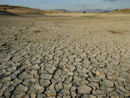Çin, kuraklık tehlikesinde 