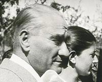 arkitera com