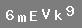 �PUCU: say� alt�, k���k harf "m", b�y�k harf "E", b�y�k harf "V", k���k harf "k", say� 9