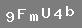 �PUCU: say� 9, b�y�k harf "F", k���k harf "m", b�y�k harf "U", say� d�rt, k���k harf "b"